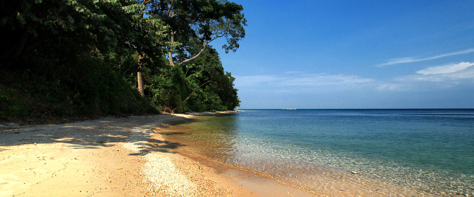 let us know your thoughts about Tanzania and we will help you create the perfect safari 