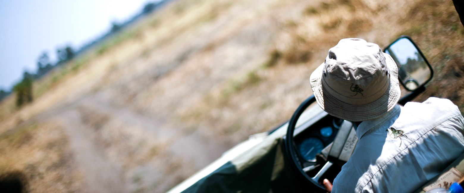 let us know your thoughts about Tanzania and we will help you create the perfect safari 