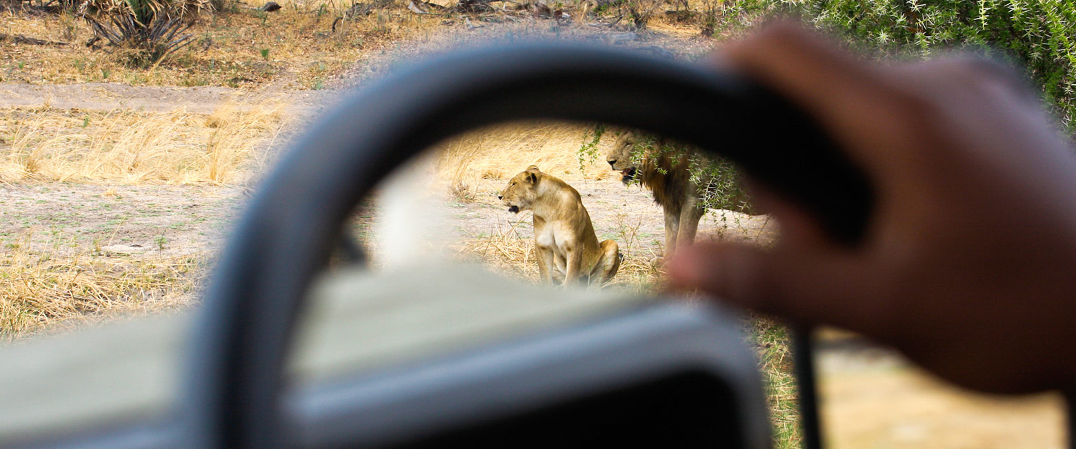 let us know your thoughts about Tanzania and we will help you create the perfect safari