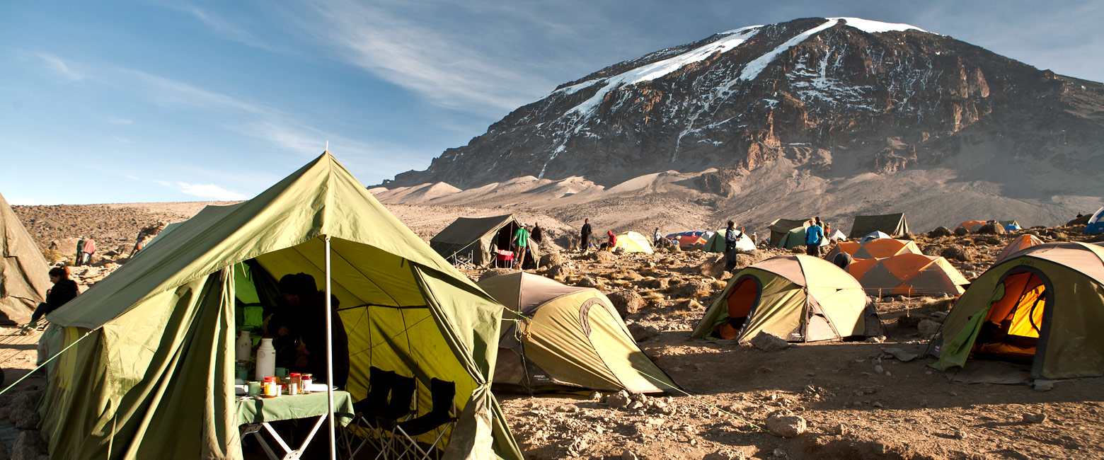 let us know your thoughts about Tanzania and we will help you create the perfect safari