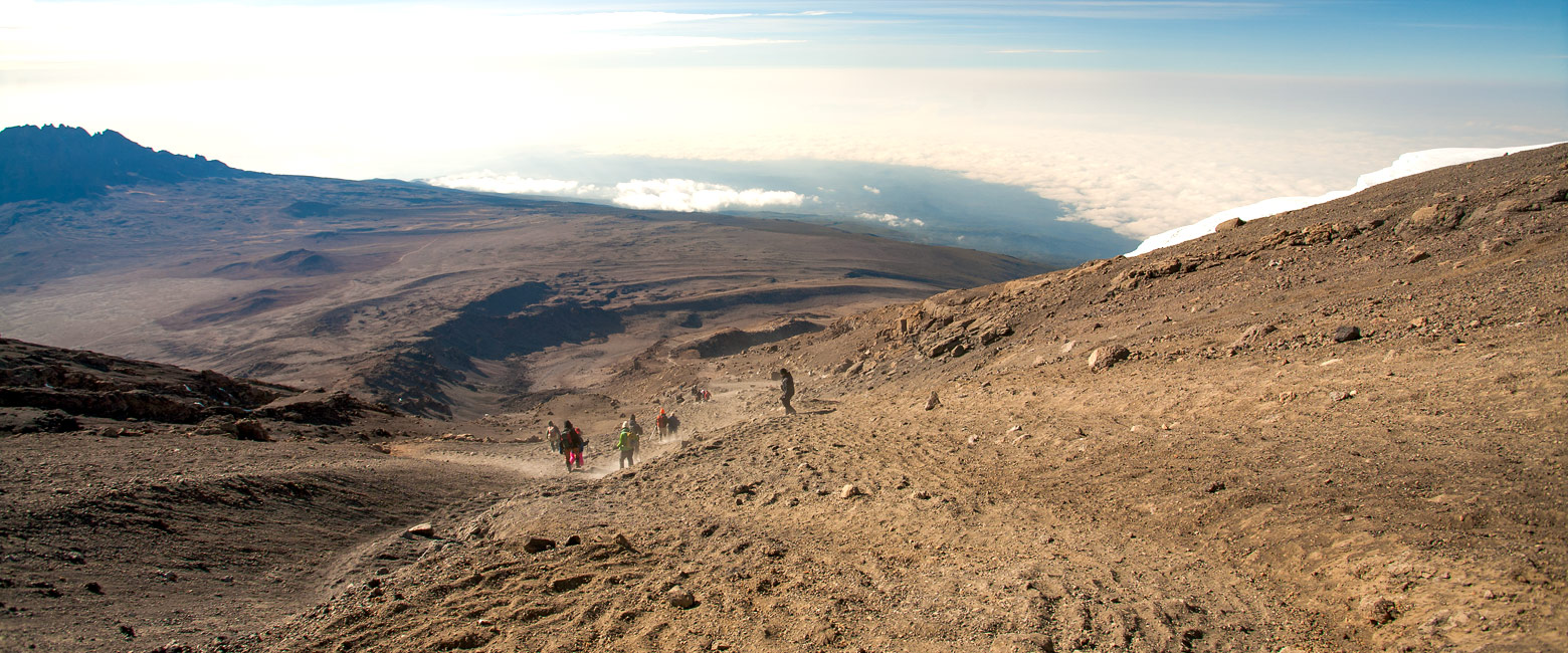 let us know your thoughts about Tanzania and we will help you create the perfect safari