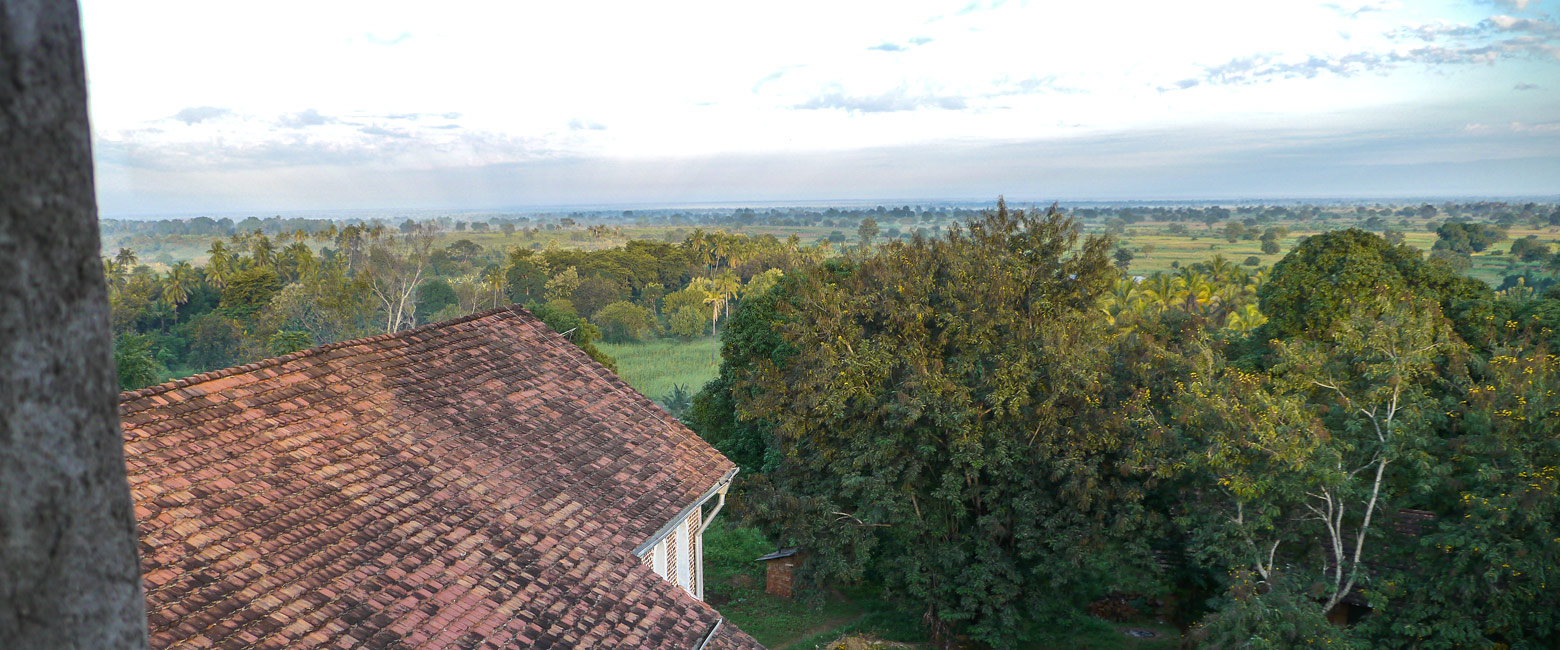 let us know your thoughts about Tanzania and we will make sure to deliver the perfect safari 