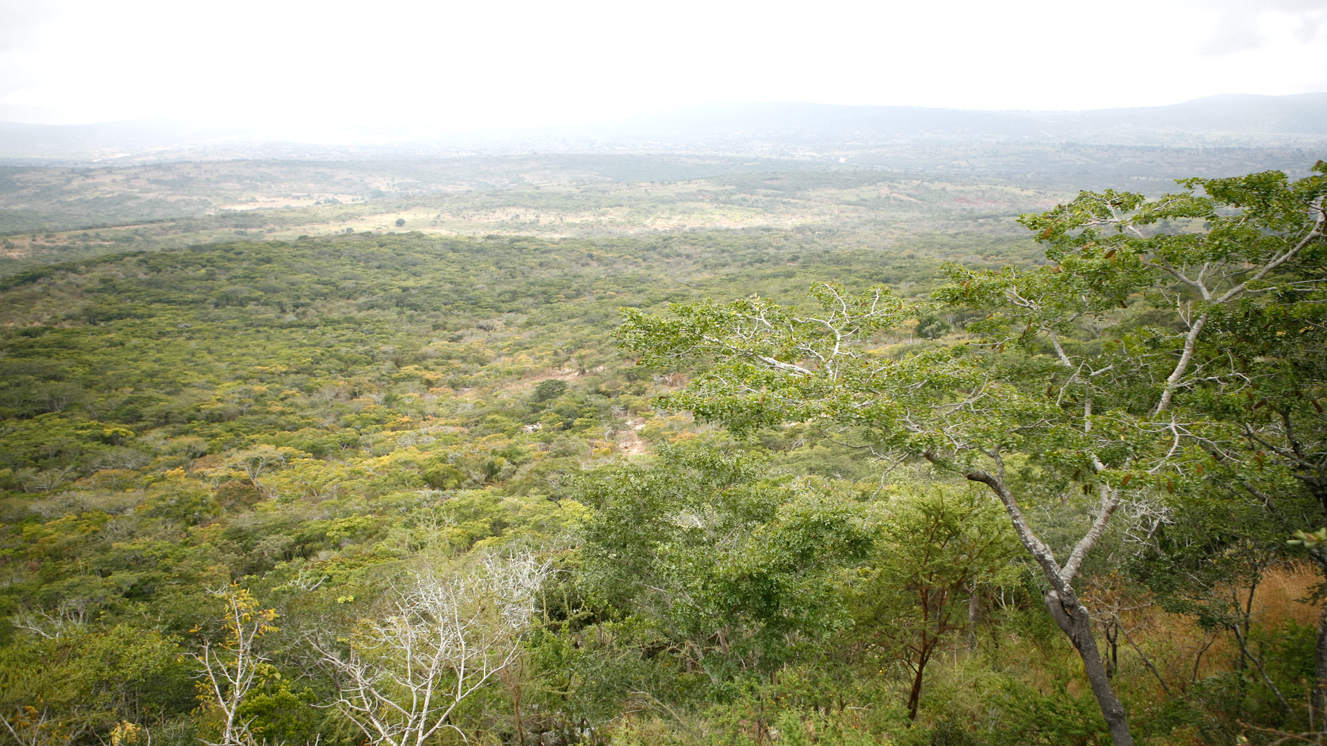 Safari to Kondoa