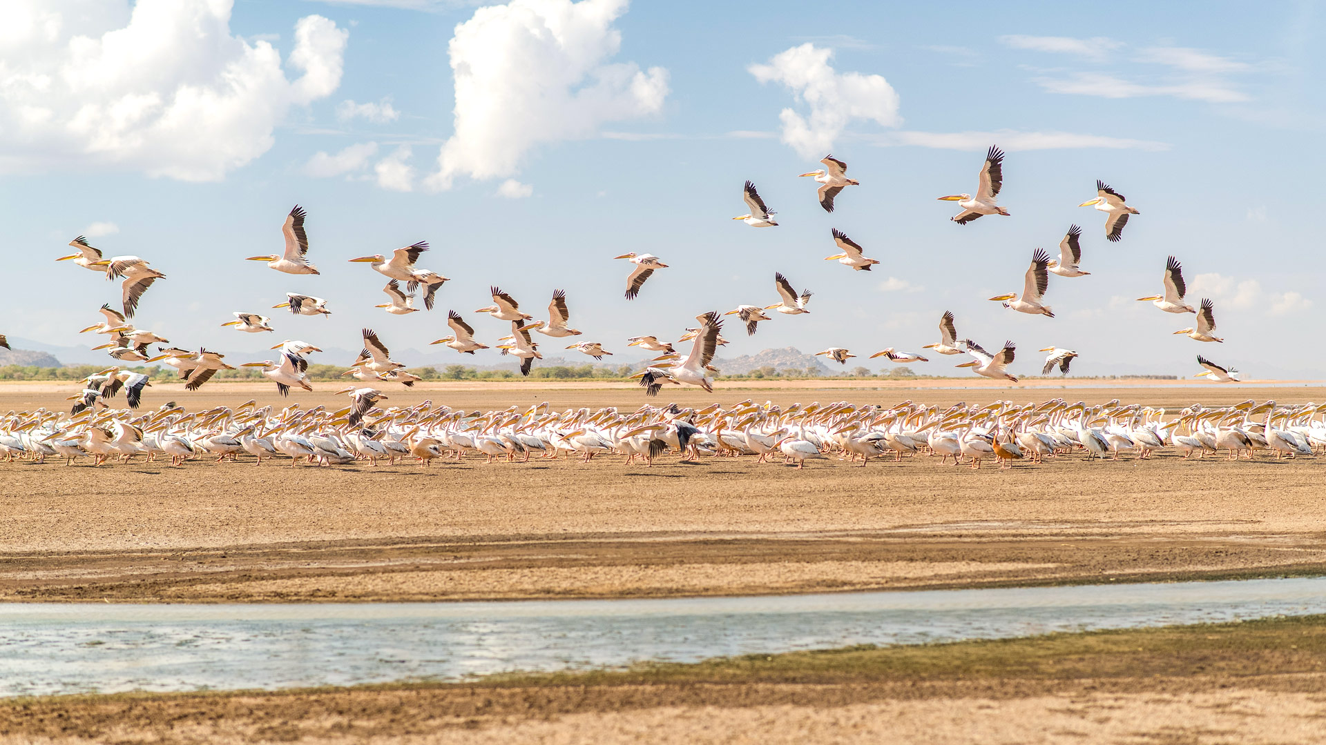 Safari to Lake Eyasi