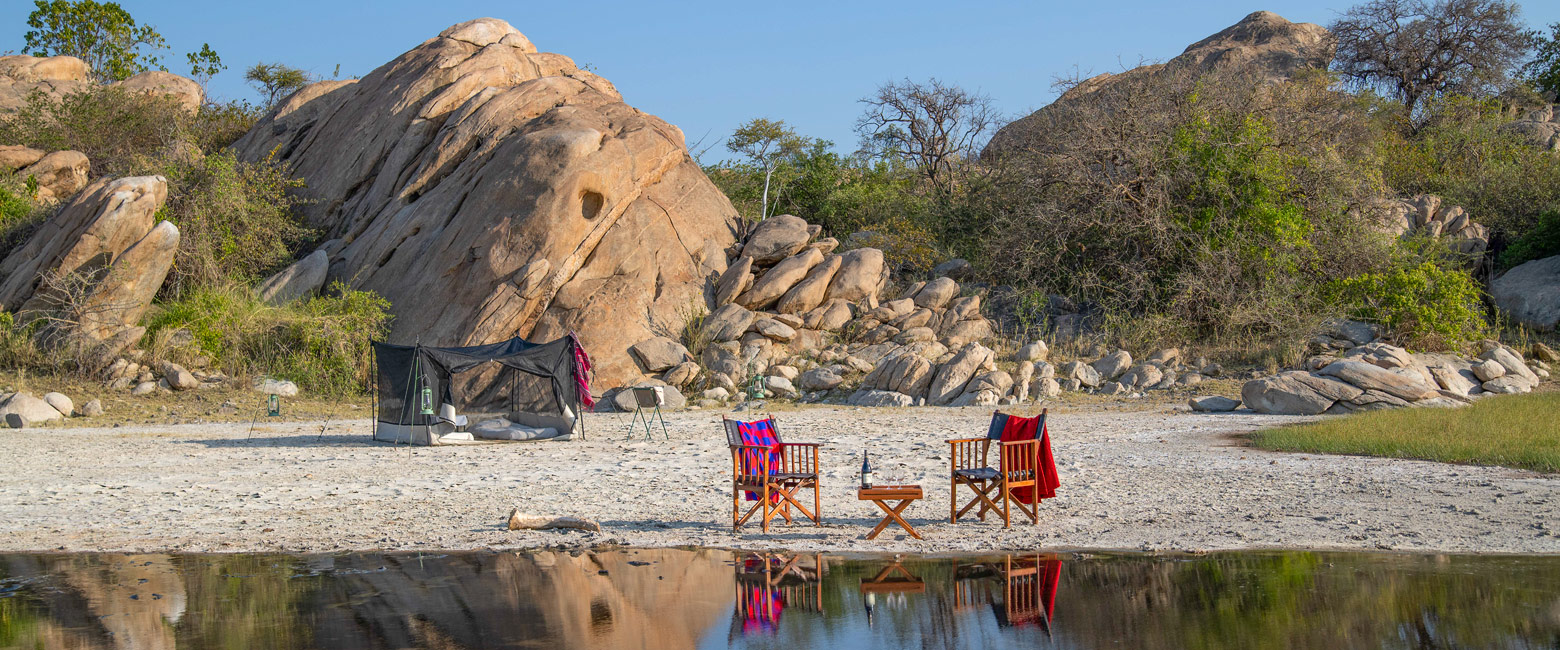 let us know your thoughts about Tanzania and we will help you create the perfect safari