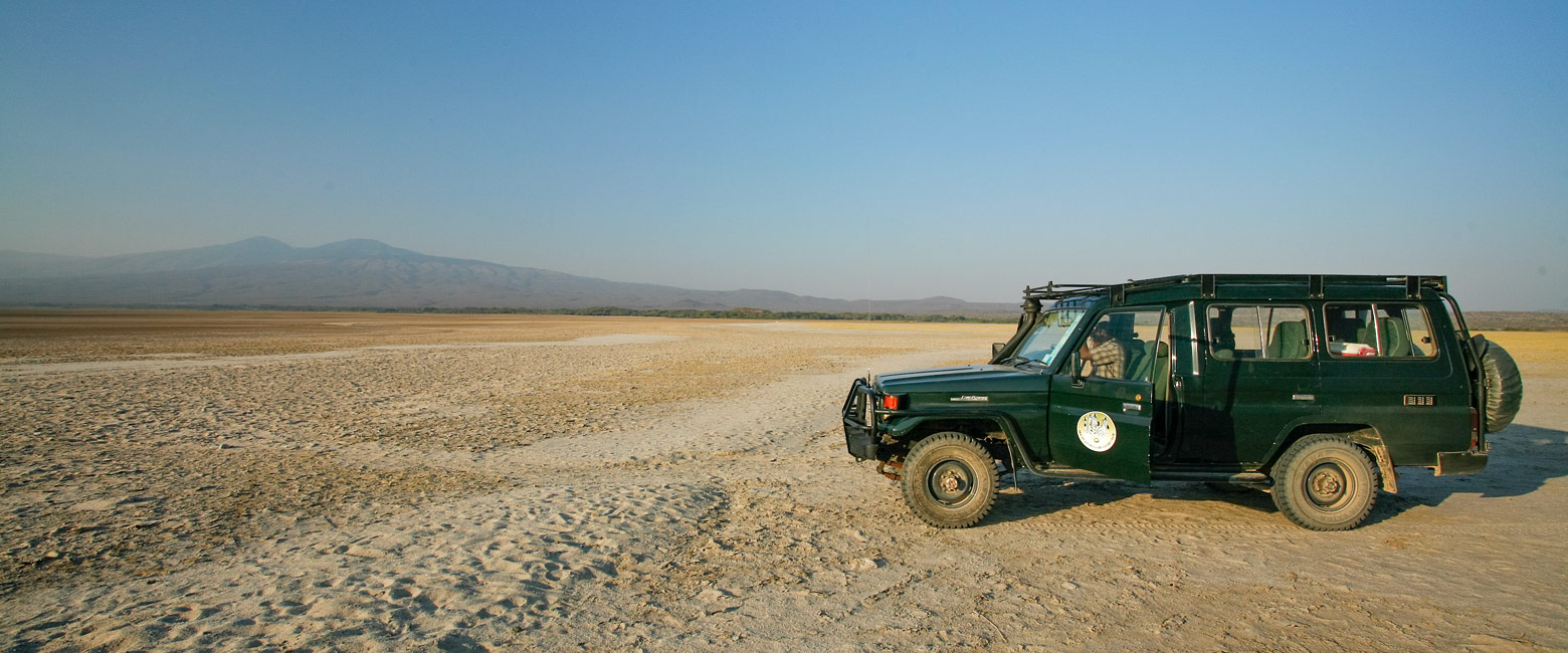 let us know your thoughts about Tanzania and we will help you create the perfect safari