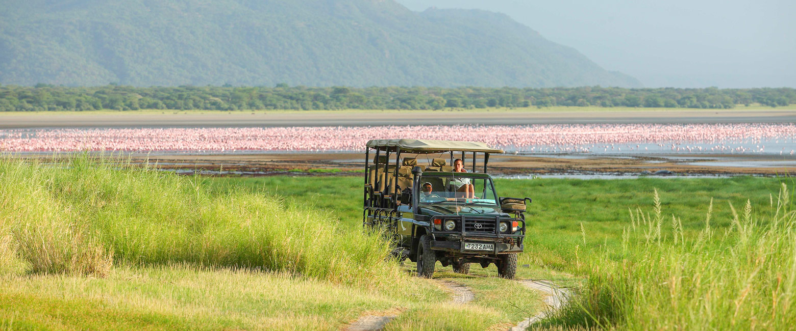 let us know your thoughts about Tanzania and we will help you create the perfect safari 