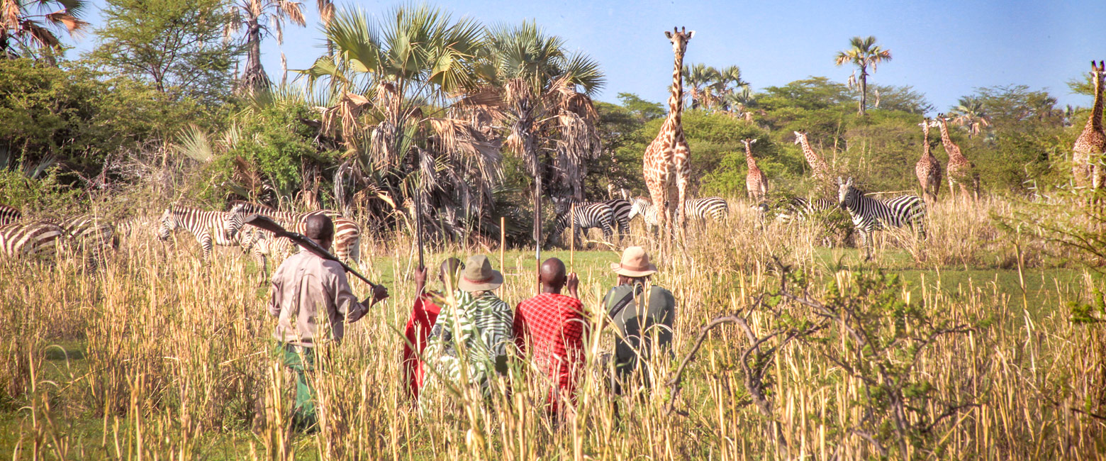 let us know your thoughts about Tanzania and we will make sure to deliver the perfect safari