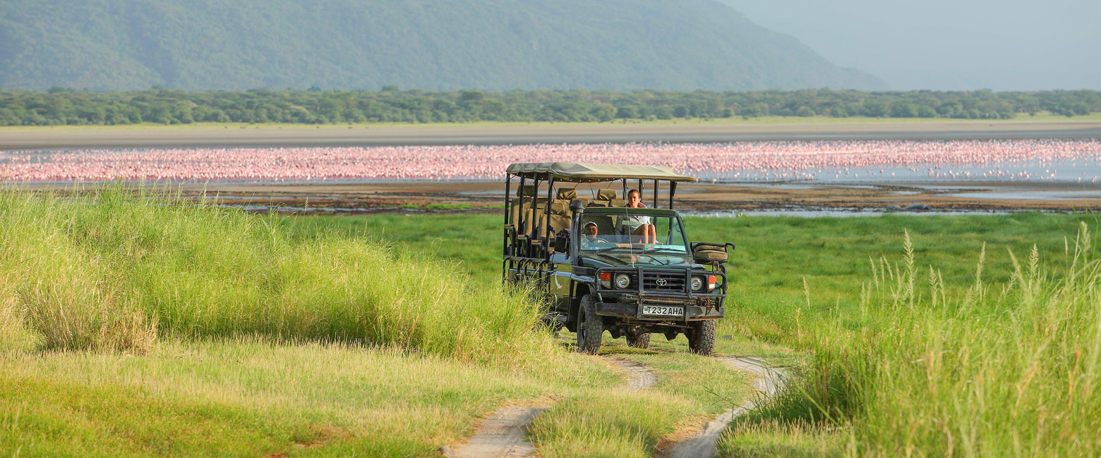 let us know your thoughts about Tanzania and we will make sure to deliver the perfect safari 