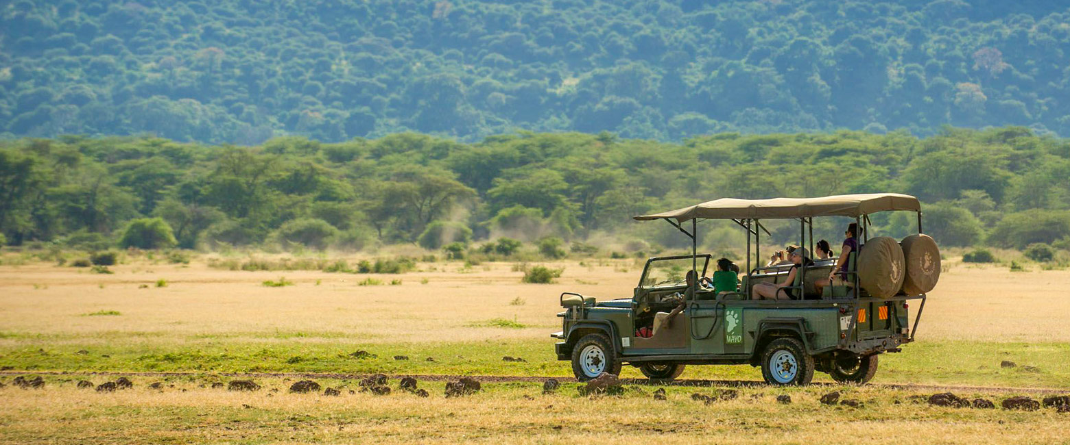 let us know your thoughts about Tanzania and we will make sure to deliver the perfect safari