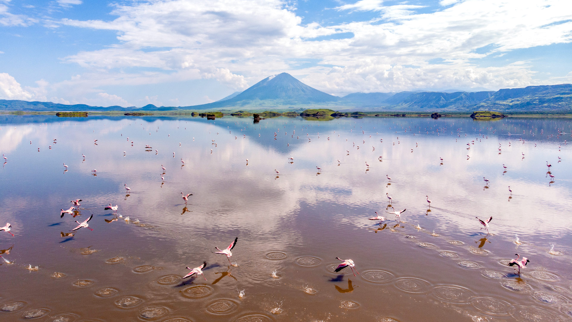 Safari to Lake Natron