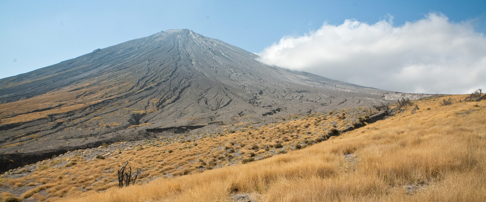 let us know your thoughts about Tanzania and we will make sure to deliver the perfect safari