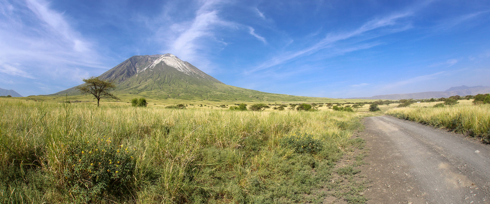 let us know your thoughts about Tanzania and we will make sure to deliver the perfect safari