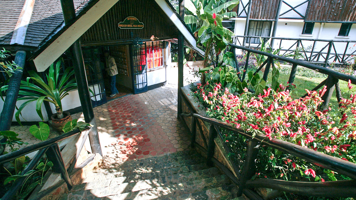 Protea Aishi Machame