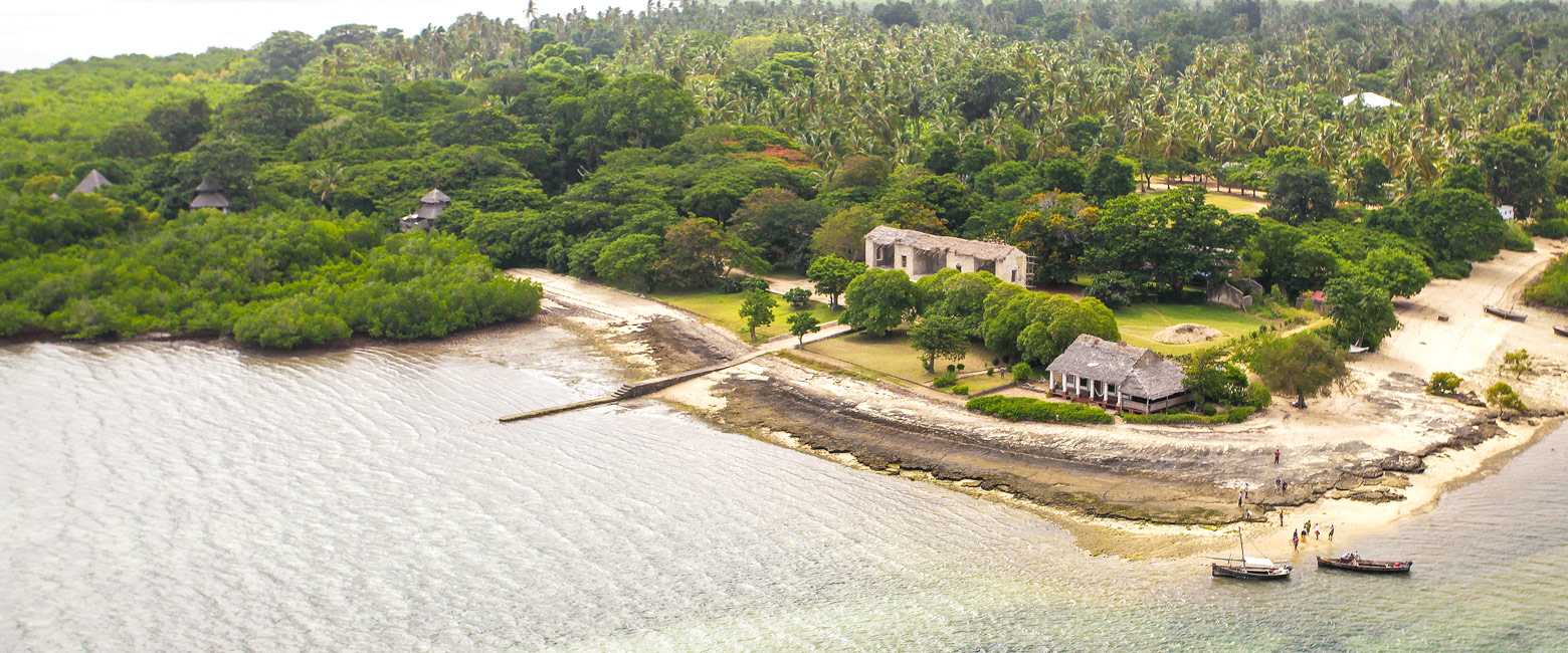 let us know your thoughts about Tanzania and we will help you create the perfect safari