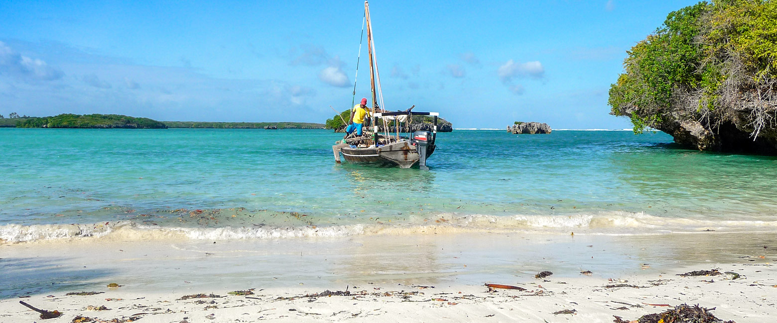 let us know your thoughts about Tanzania and we will help you create the perfect safari 