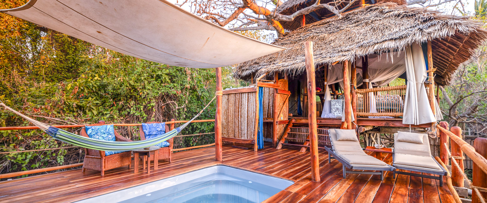 let us know your thoughts about Tanzania and we will help you create the perfect safari
