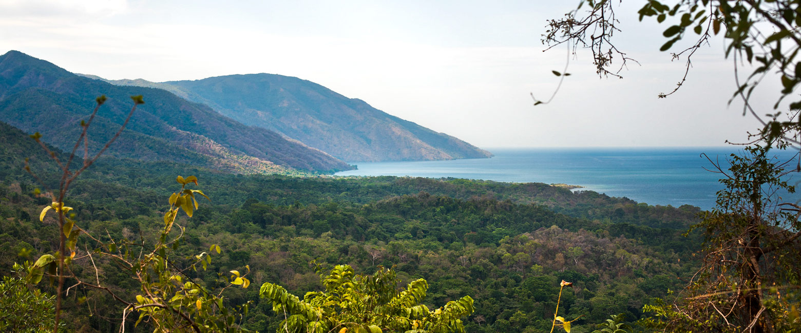 let us know your thoughts about Tanzania and we will help you create the perfect safari 