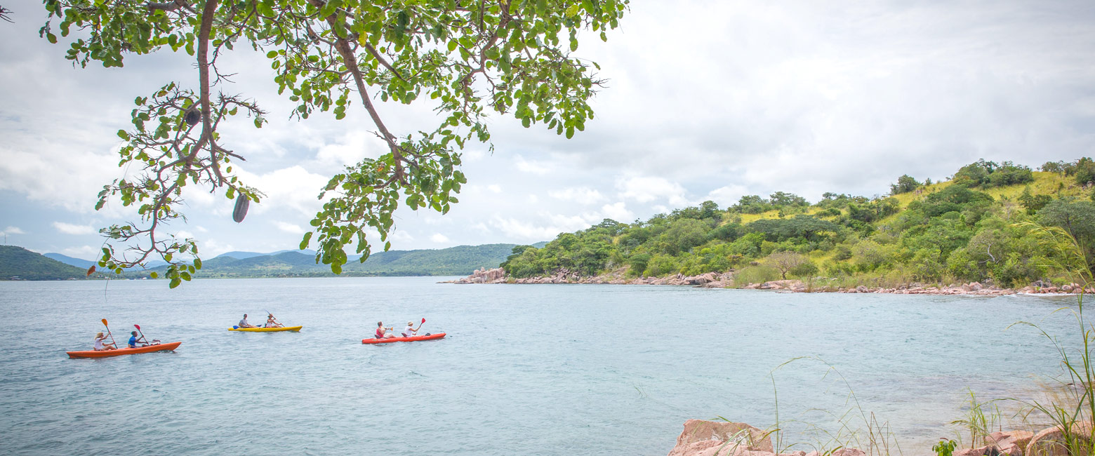 let us know your thoughts about Tanzania and we will help you create the perfect safari