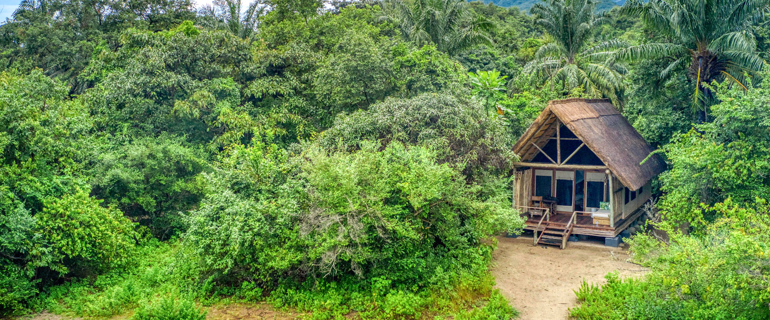 is a cool chimpanzee base in the Mahale Mountains