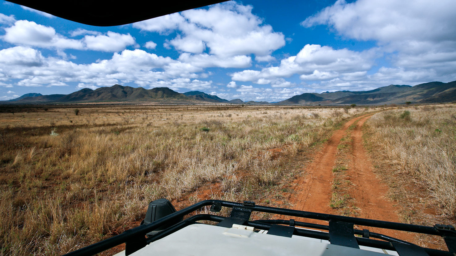Safari to Mkomazi