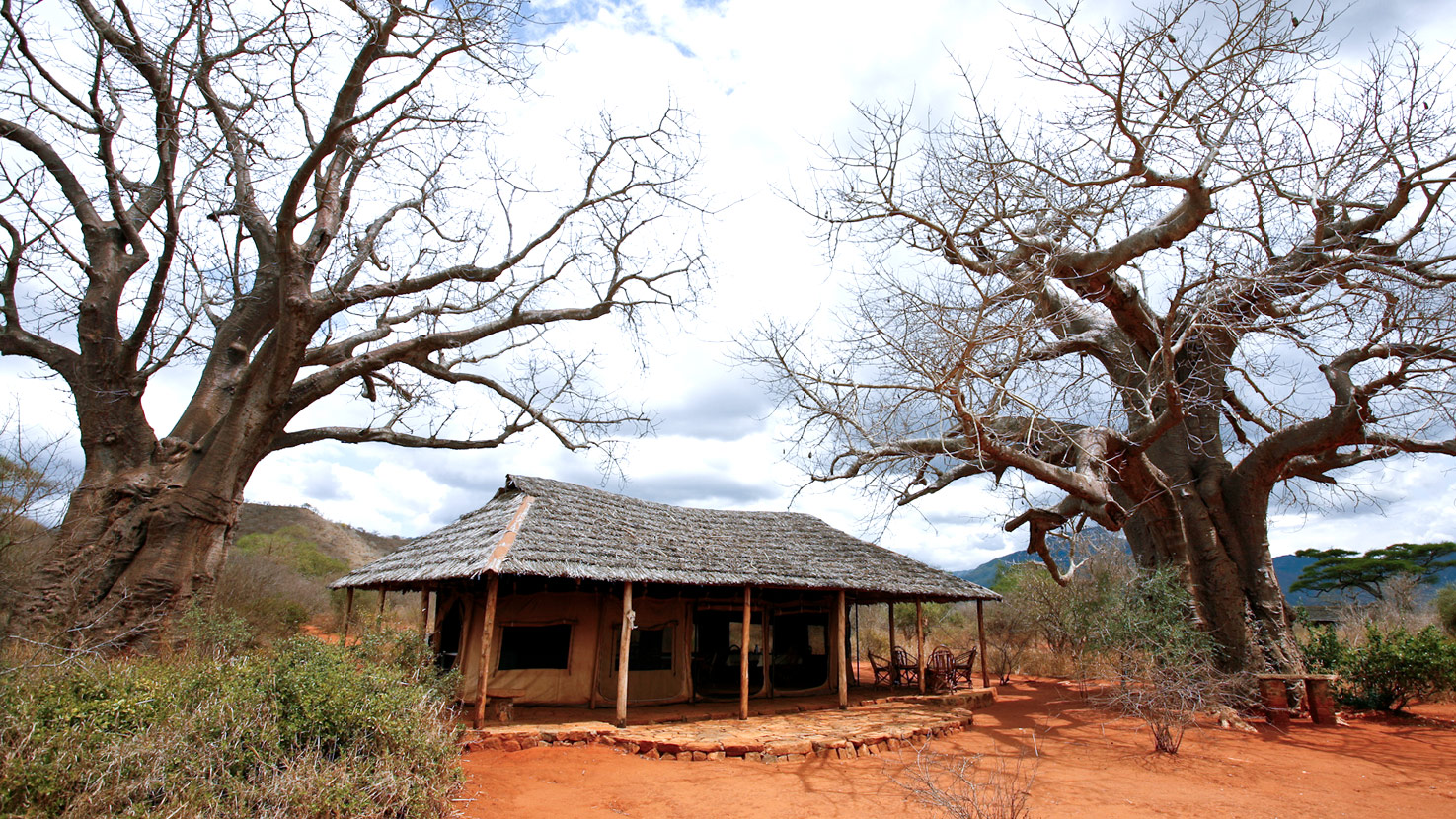 Babu’s Camp
