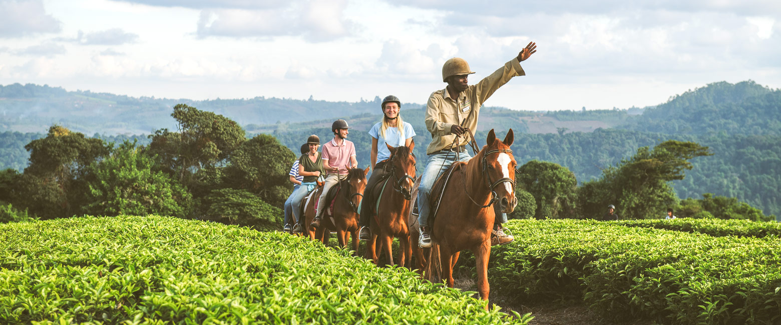 let us know your thoughts about Tanzania and we will help you create the perfect safari