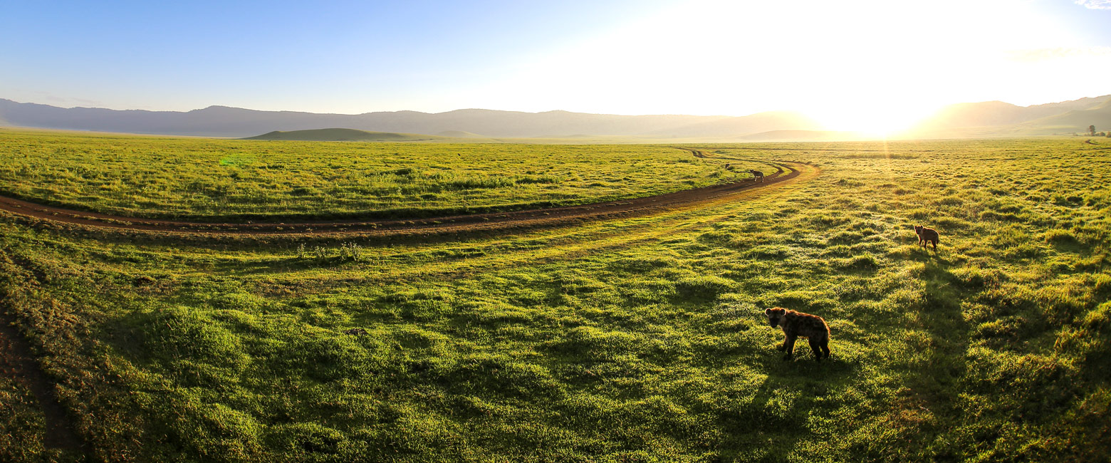 is a range of dramatic volcanoes, to the south of Serengeti