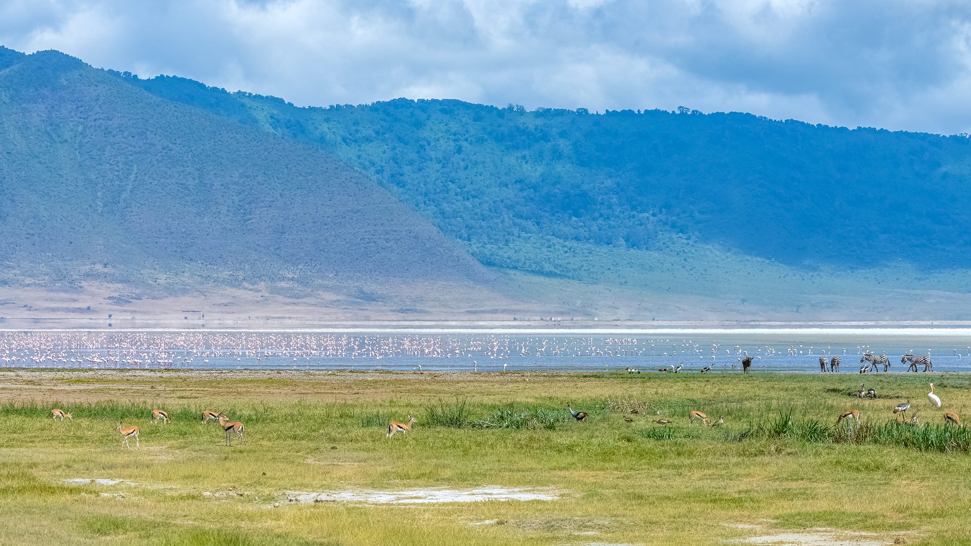 Safari to the Ngorongoro Crater