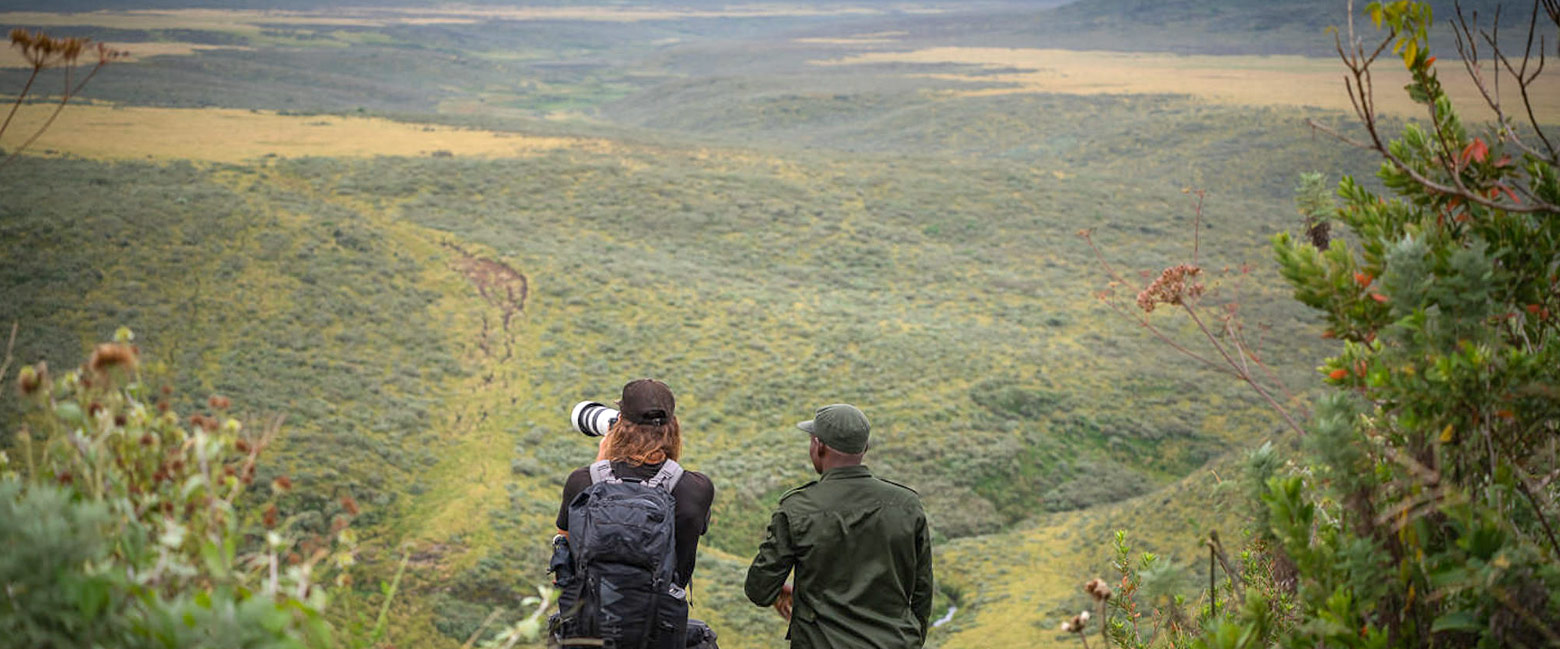 let us know your thoughts about Tanzania and we will help you create the perfect safari 