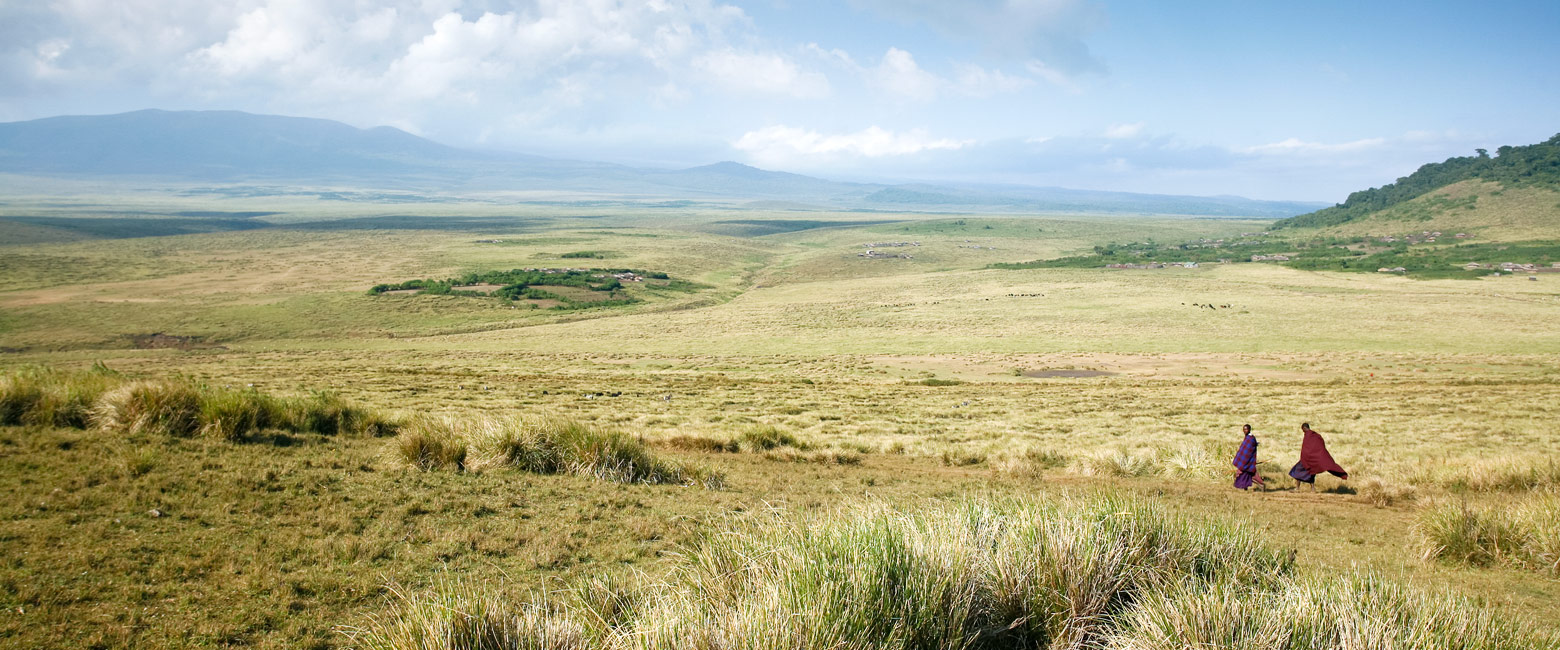 let us know your thoughts about Tanzania and we will help you create the perfect safari