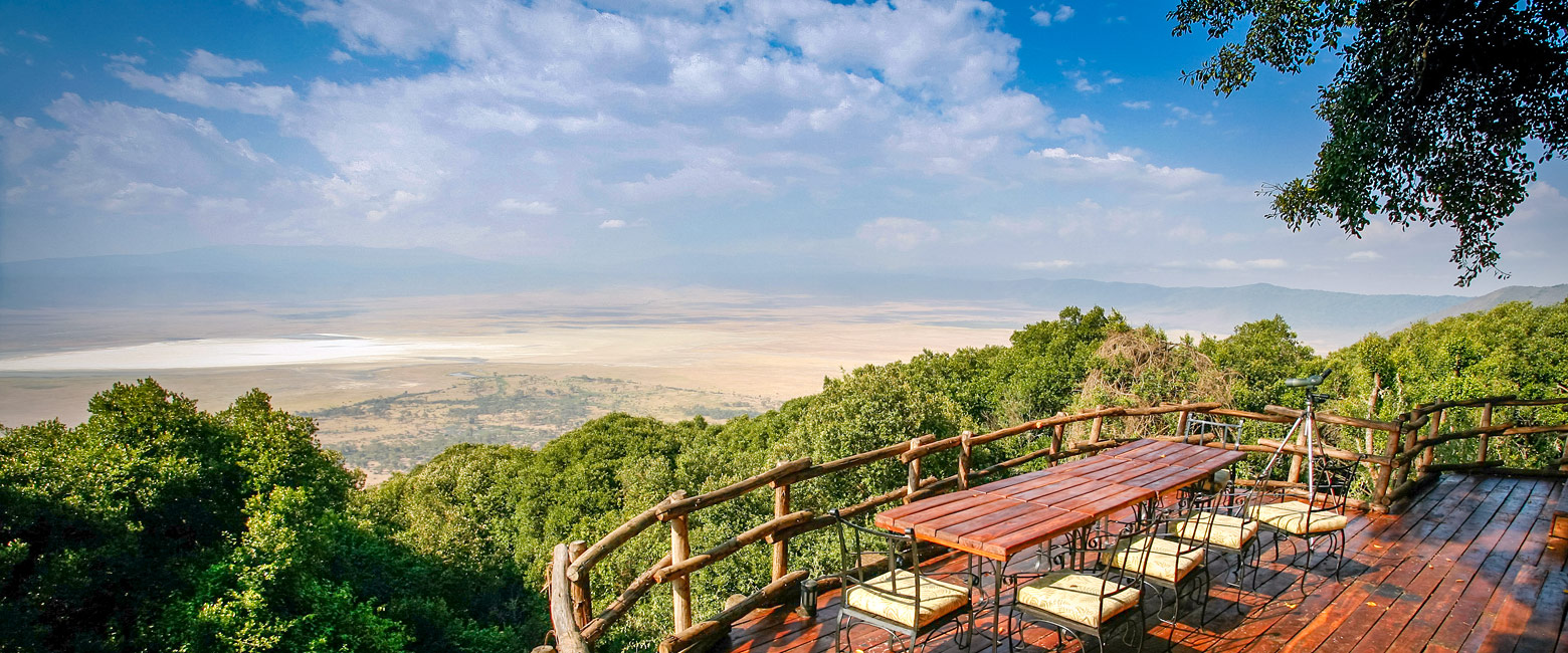 let us know your thoughts about Tanzania and we will help you create the perfect safari
