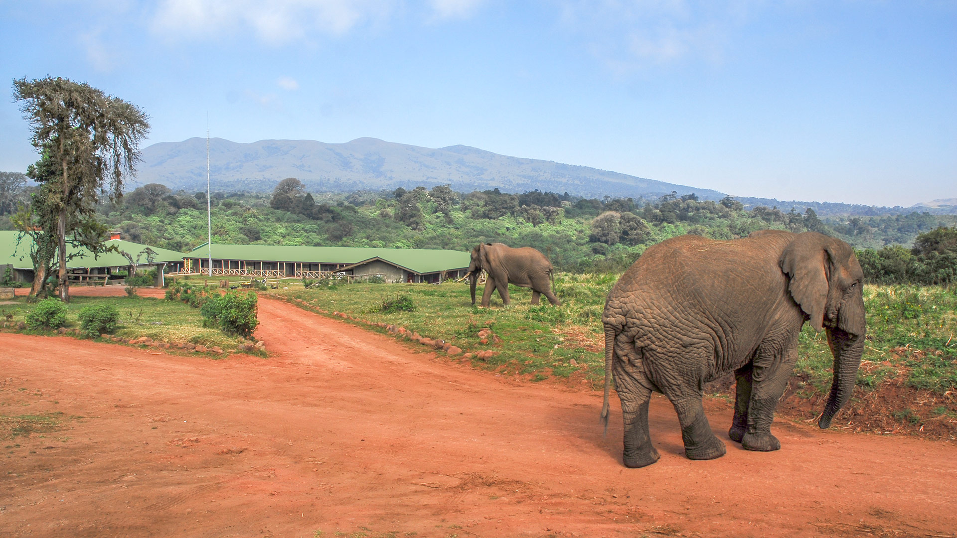 Ngorongoro Rhino Lodge