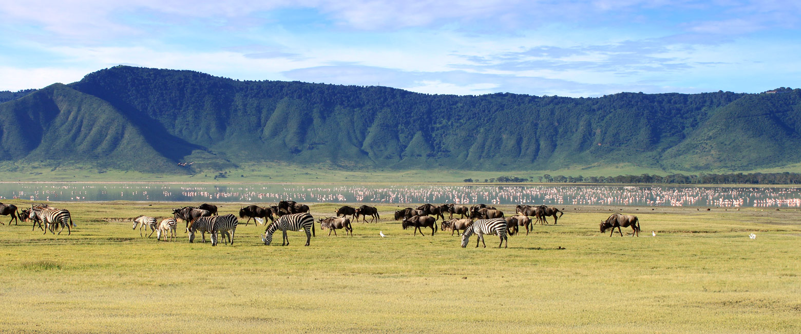 let us know your thoughts about Tanzania and we will help you create the perfect safari