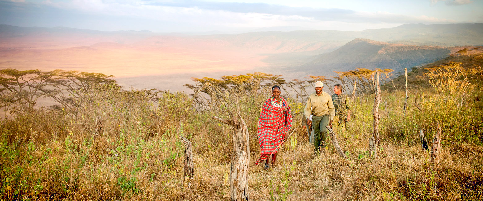 let us know your thoughts about Tanzania and we will help you create the perfect safari