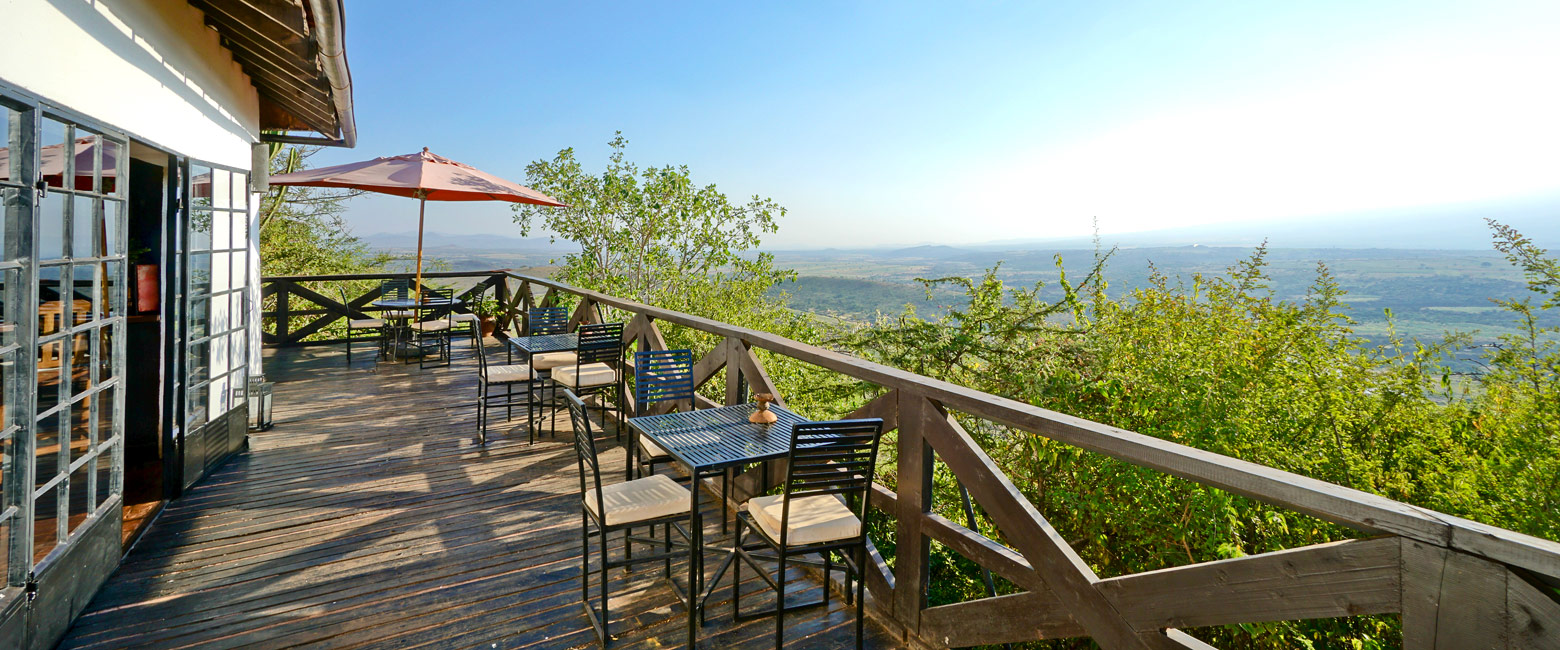 let us know your thoughts about Tanzania and we will help you create the perfect safari