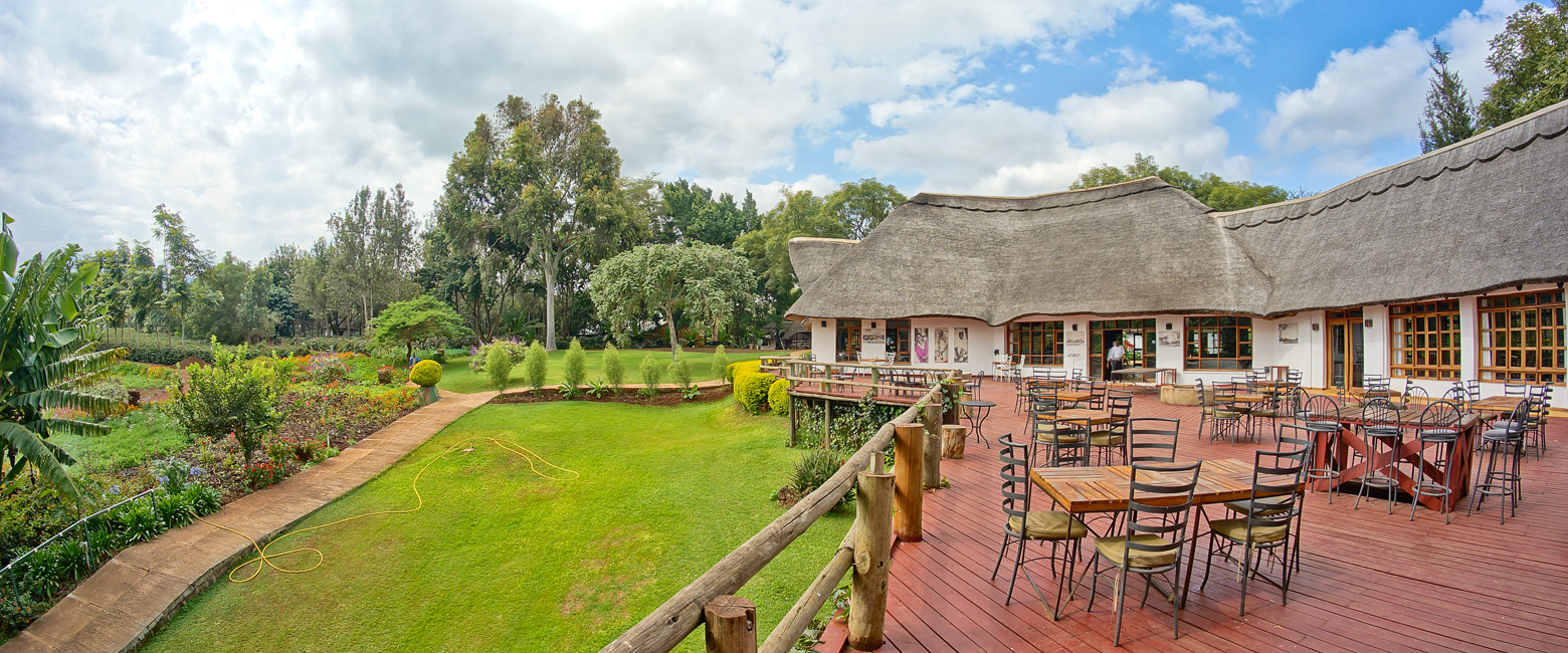 let us know your thoughts about Tanzania and we will help you create the perfect safari