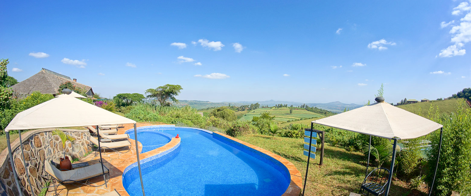 let us know your thoughts about Tanzania and we will help you create the perfect safari