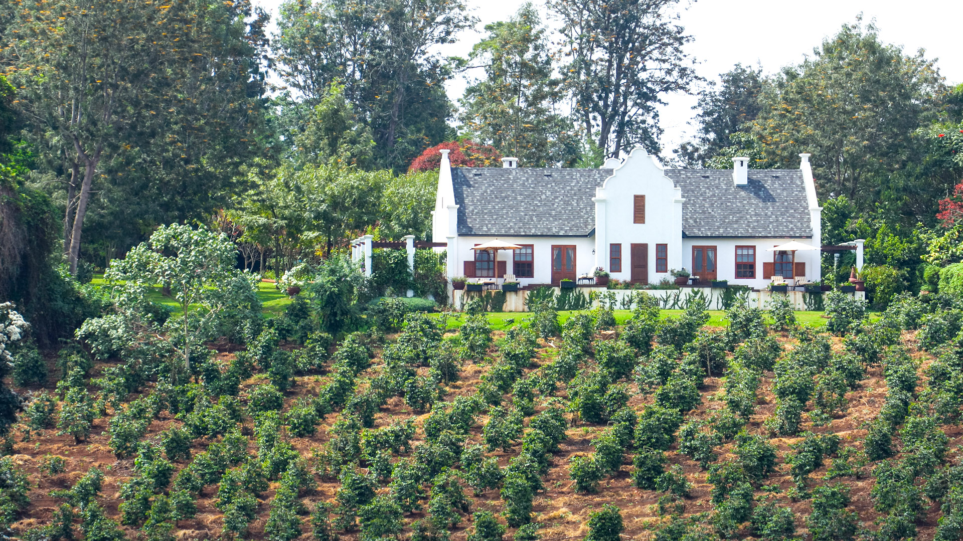 The Manor Ngorongoro