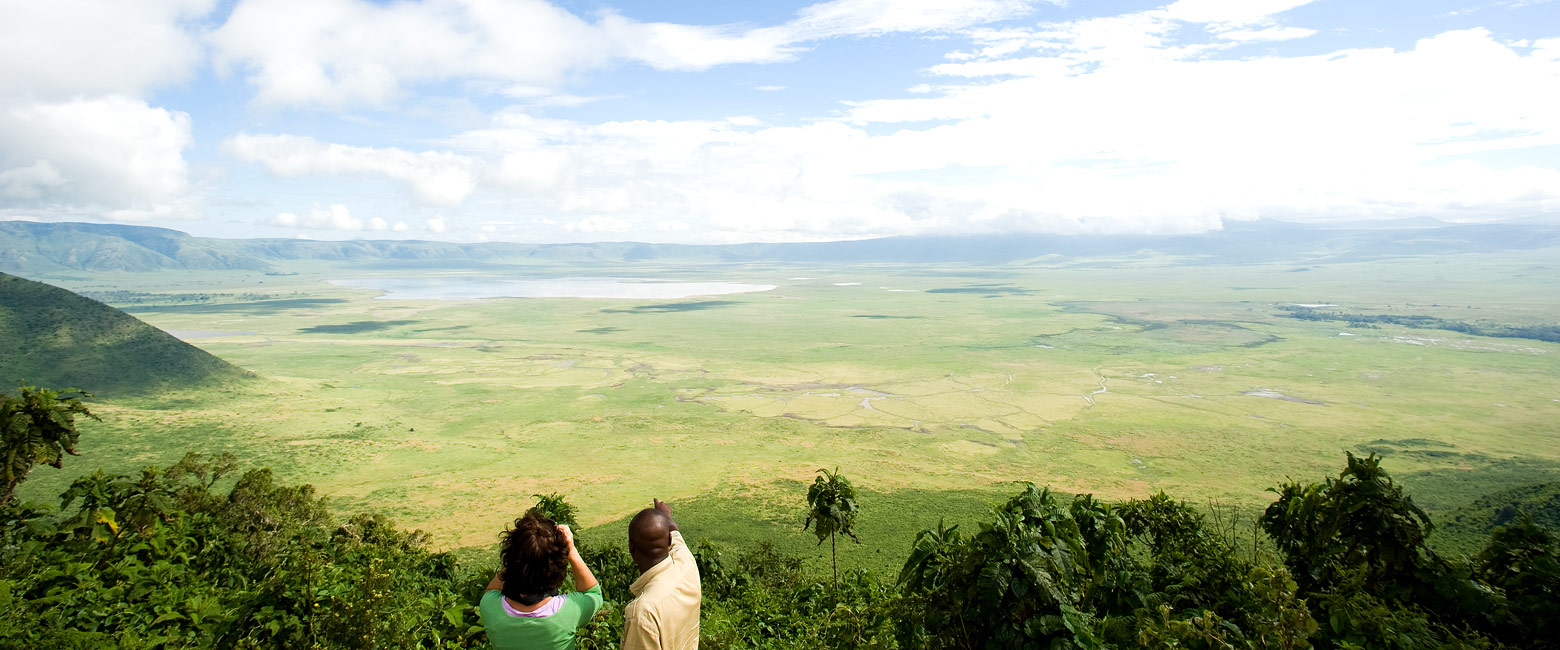 let us know your thoughts about Tanzania and we will make sure to deliver the perfect safari