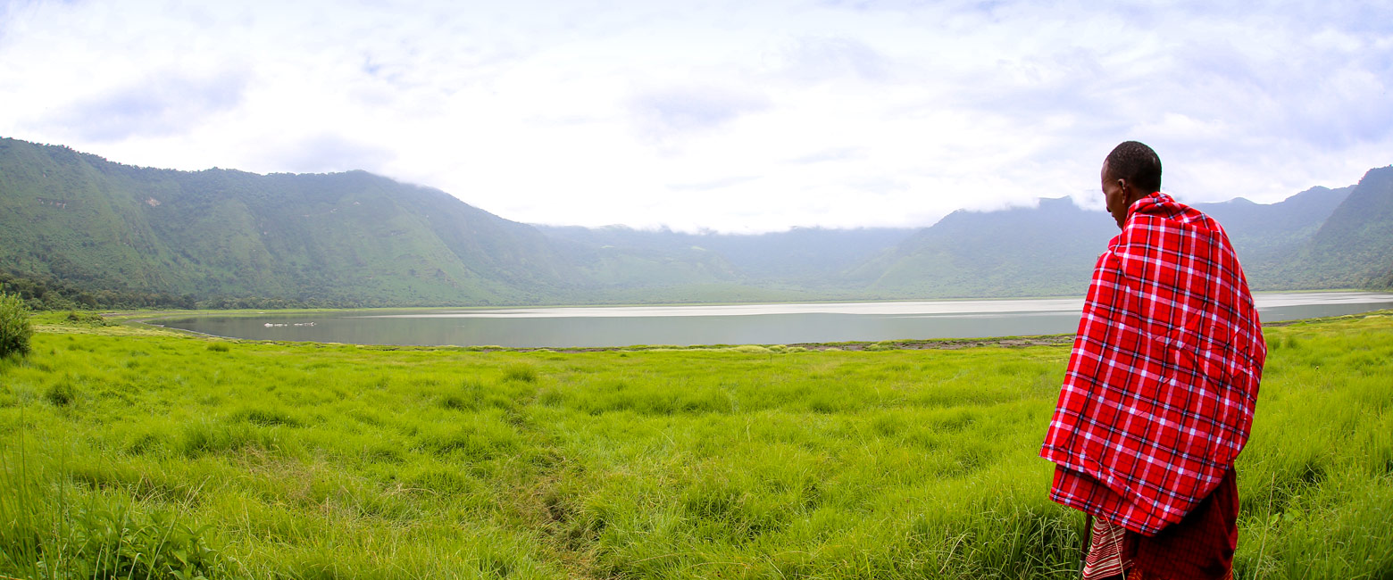 let us know your thoughts about Tanzania and we will help you create the perfect safari 