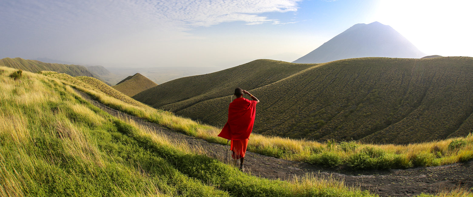 let us know your thoughts about Tanzania and we will help you create the perfect safari
