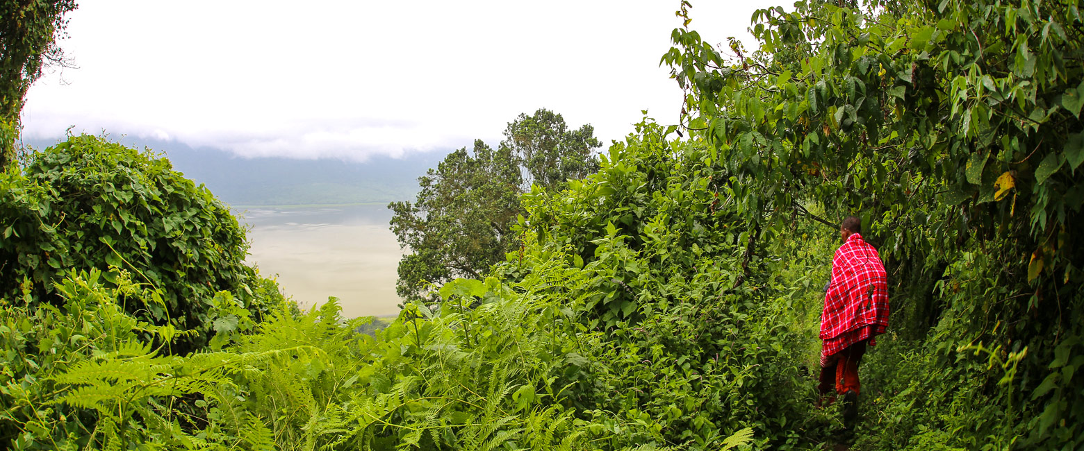 let us know your thoughts about Tanzania and we will help you create the perfect safari