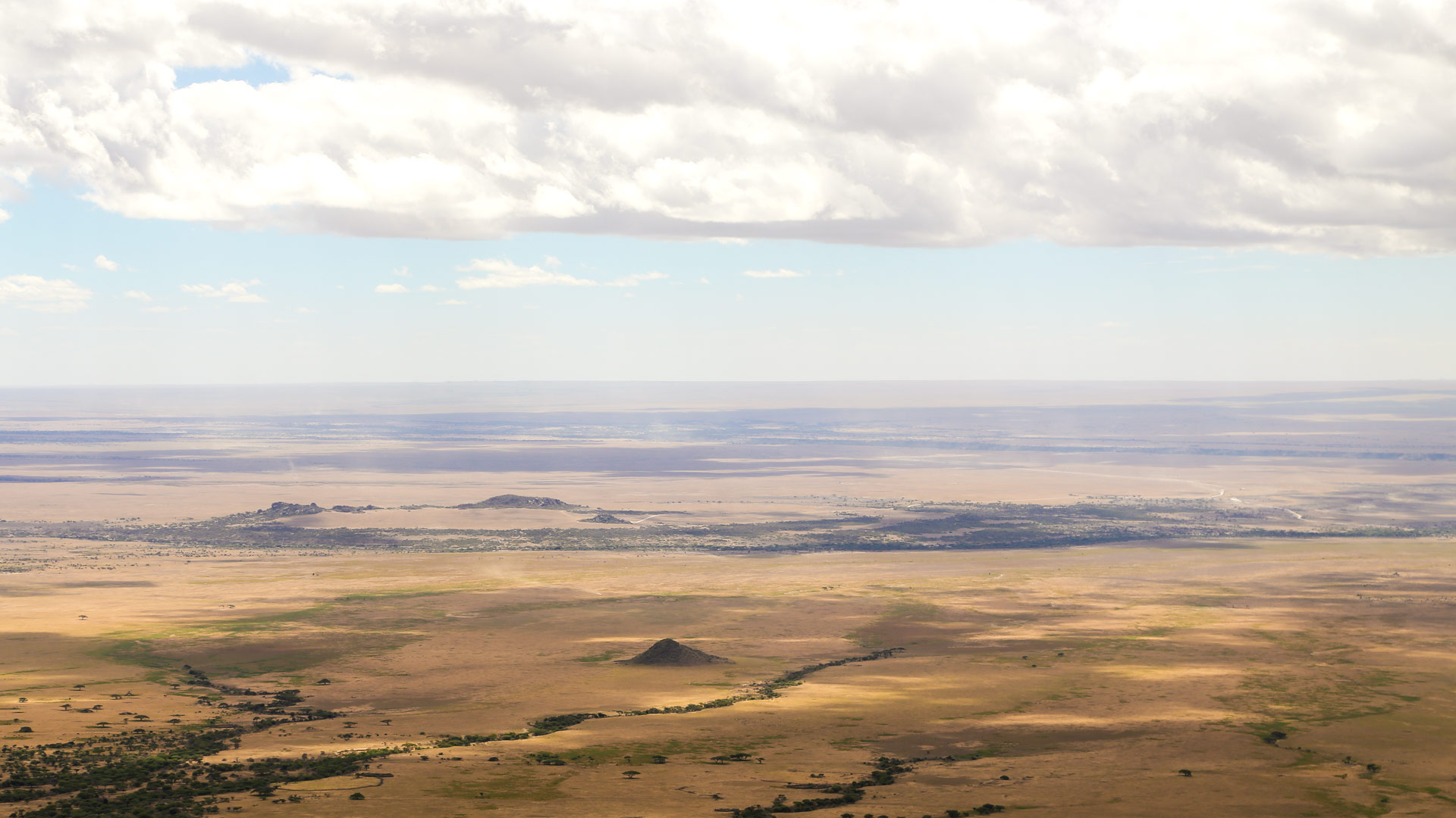Safari to Ngorongoro South