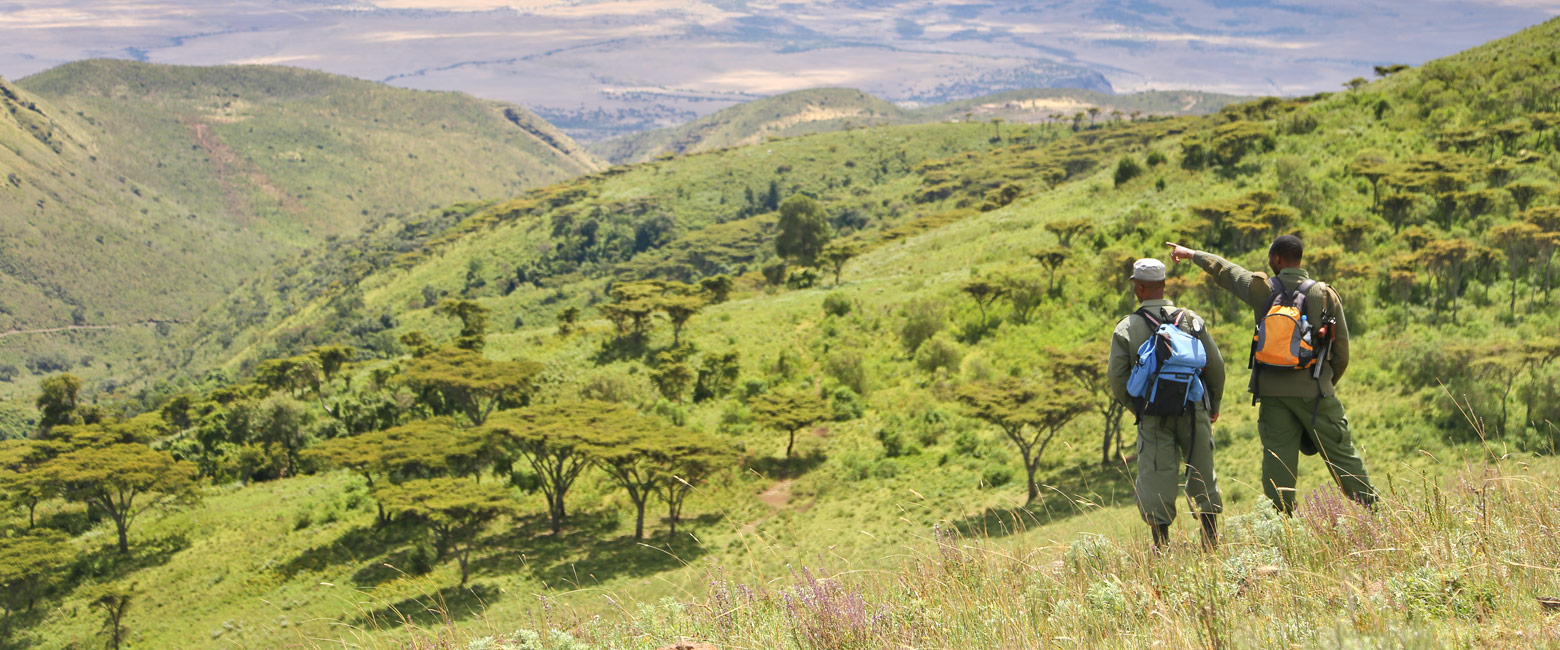 let us know your thoughts about Tanzania and we will help you create the perfect safari