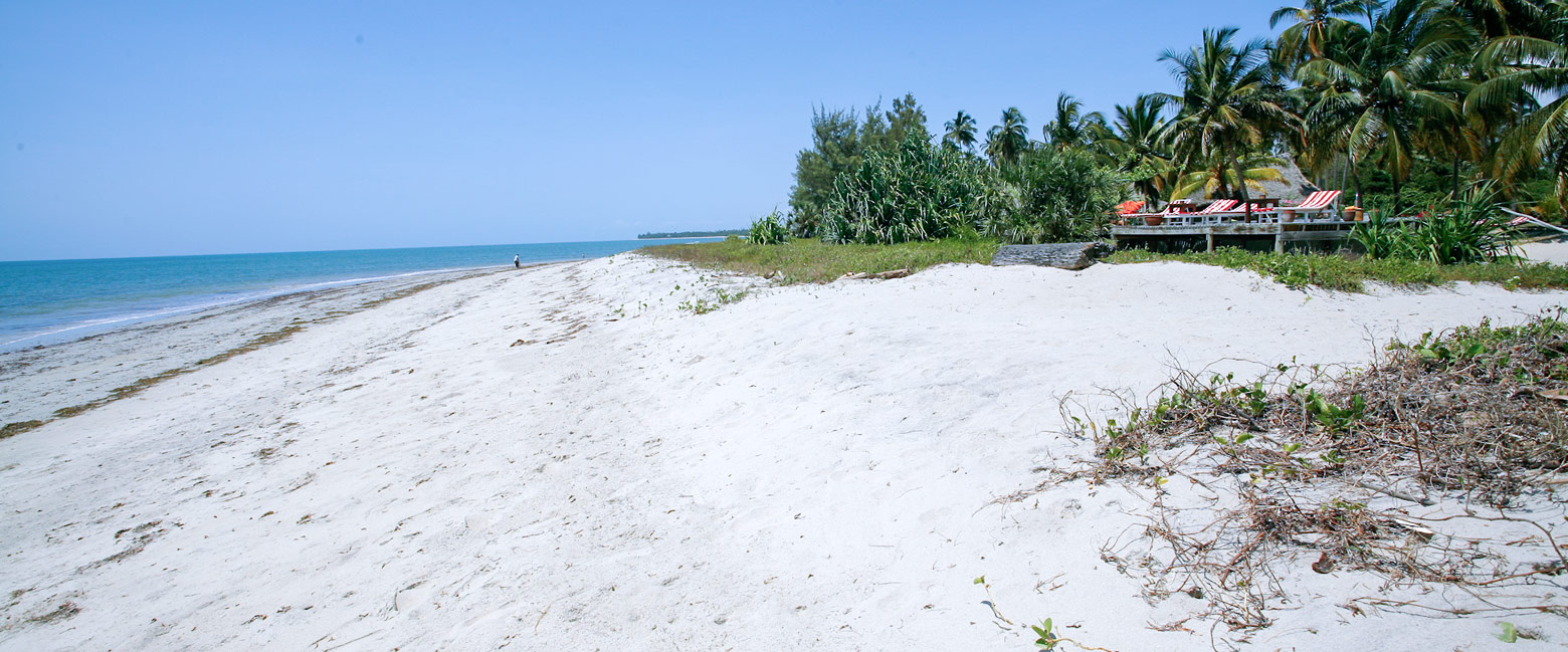 let us know your thoughts about Tanzania and we will make sure to deliver the perfect safari