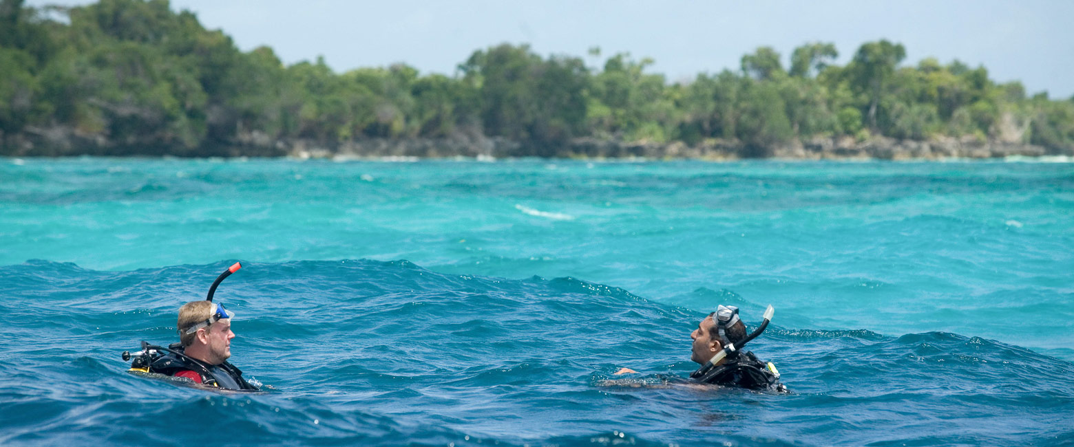 let us know your thoughts about Tanzania and we will make sure to deliver the perfect safari