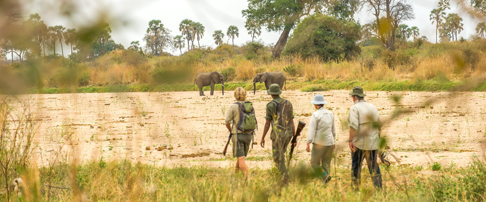 let us know your thoughts about Tanzania and we will help you build the perfect safari