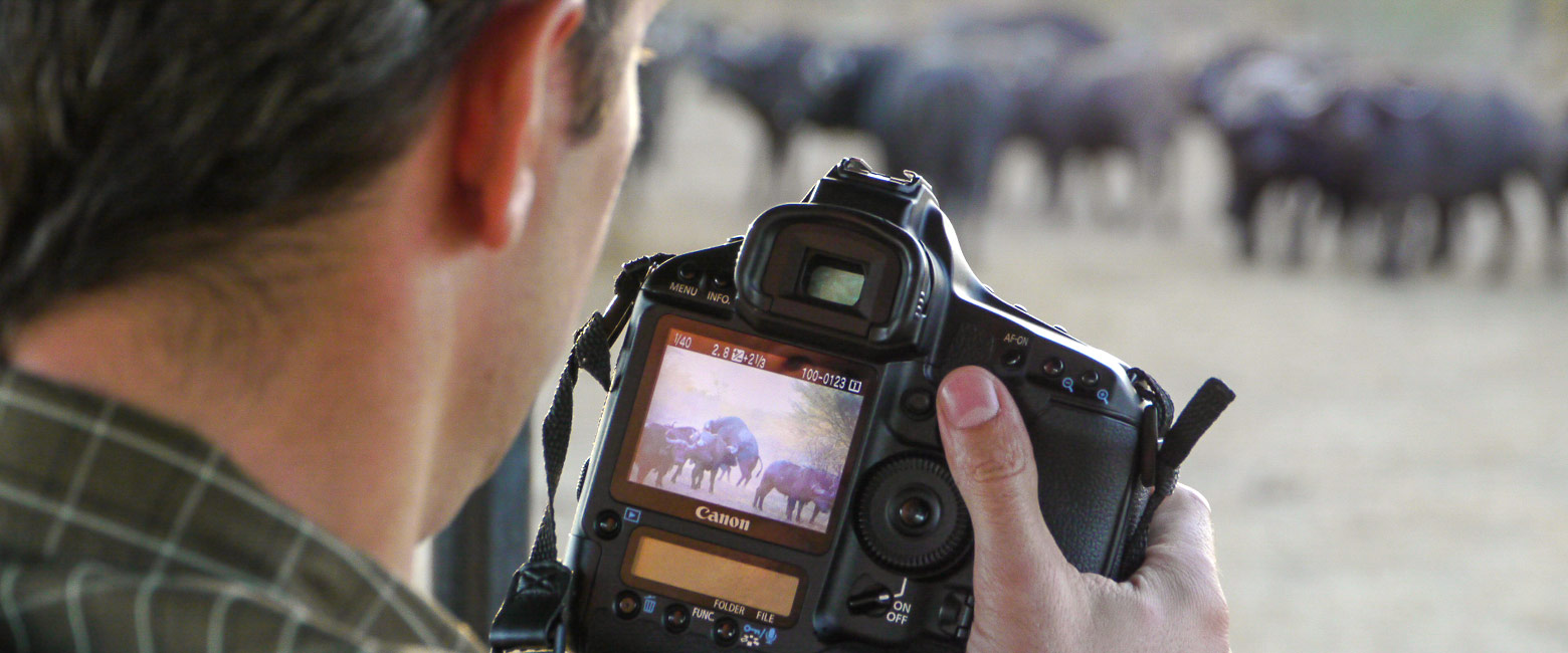 let us know your thoughts about Tanzania and we will help you create the perfect safari