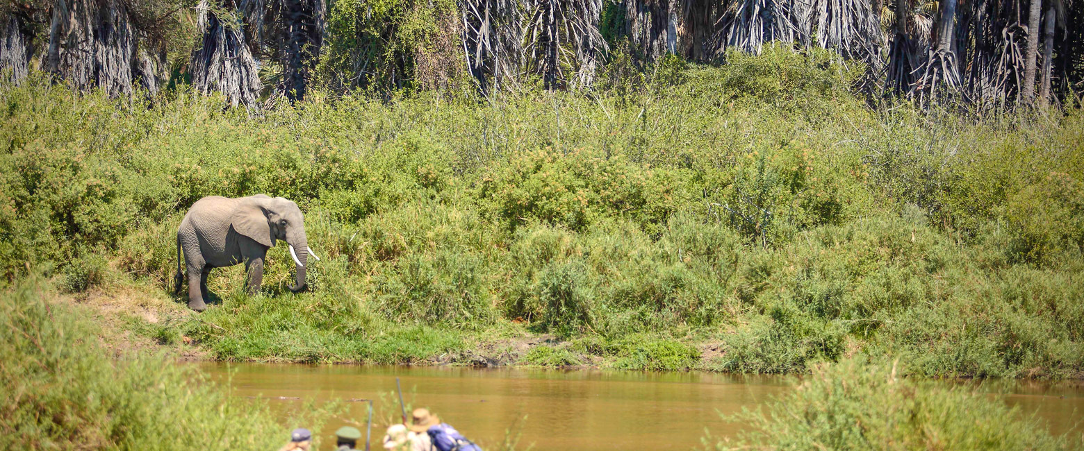 let us know your thoughts about Tanzania and we will help you create the perfect safari